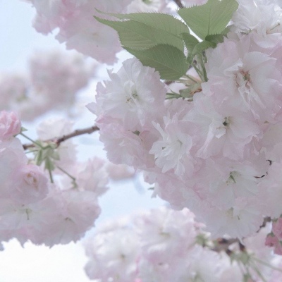 Furry插画手绘技巧干货Furry群